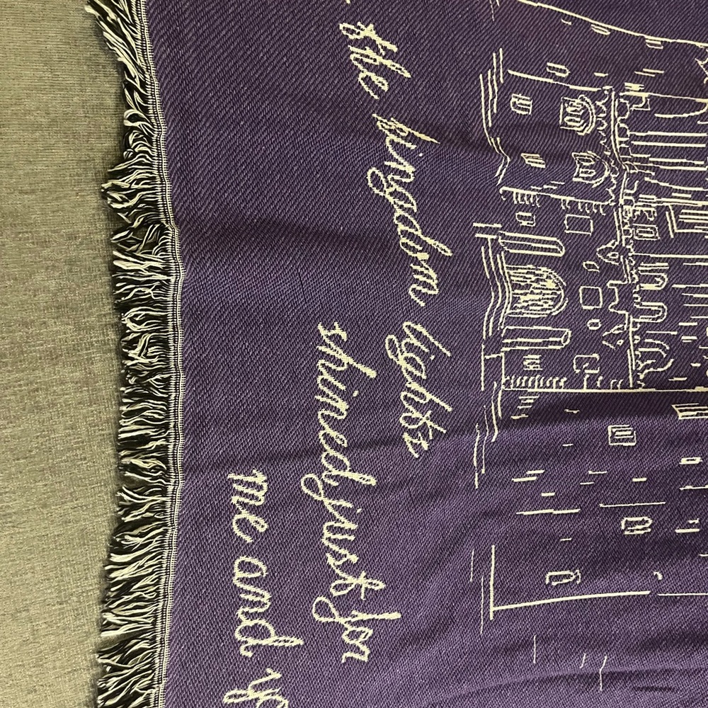 Long Live Blanket Taylor Swift Holiday Collection - Picture 3 of 6